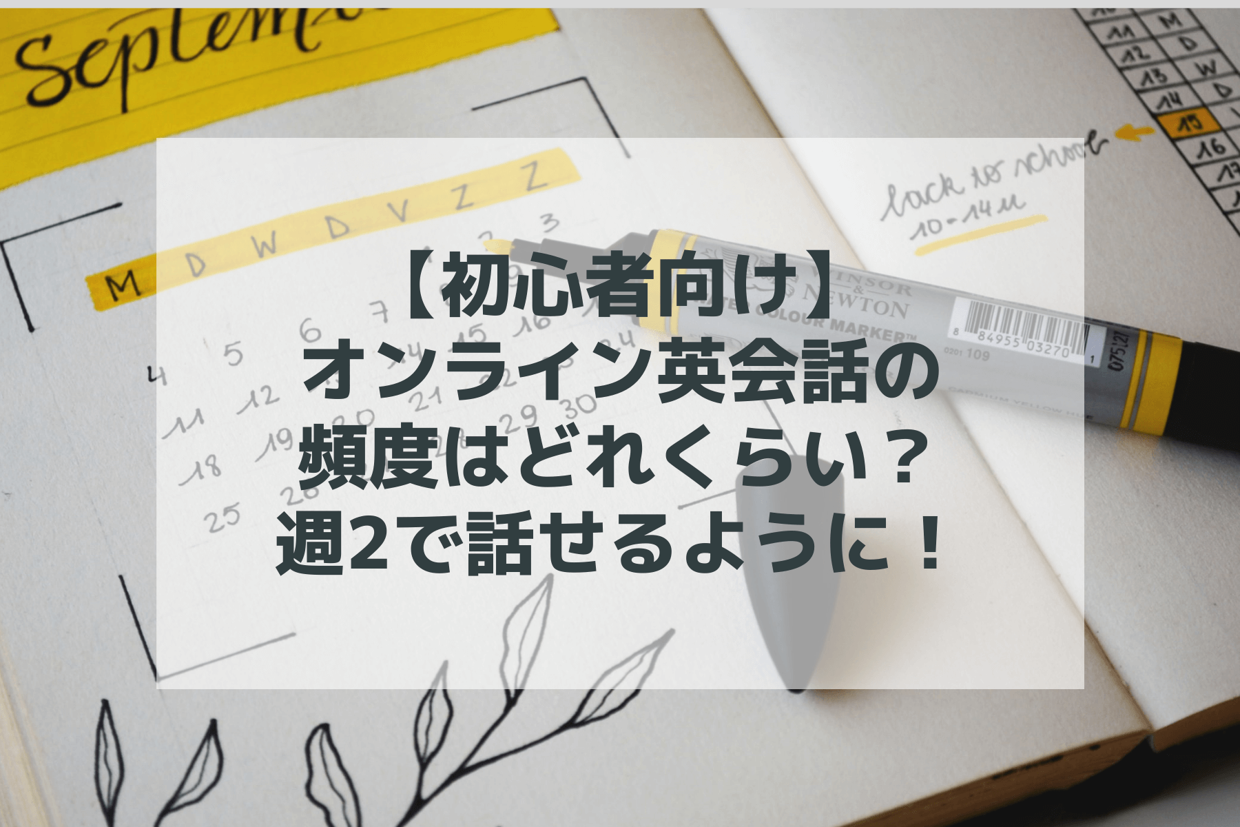 【初心者向け】オンライン英会話の頻度はどれくらい？週2で話せるように！